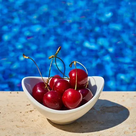 Hotel de apartamente Goji Vegan 3*