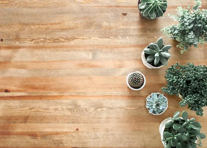 Goji Vegan Apartahotel