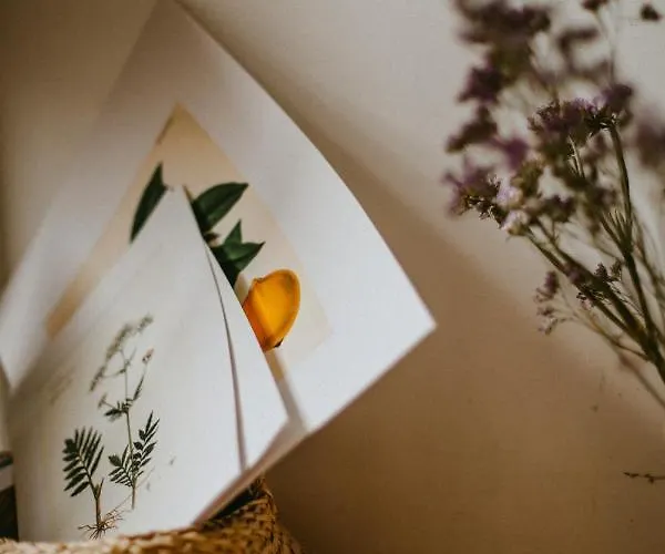 Apartahotel Goji Vegan Ialisos