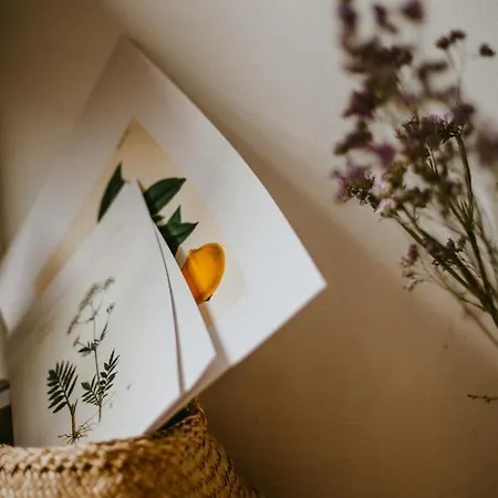 Apart-hotel Goji Vegan Ialysos (Rhodes)