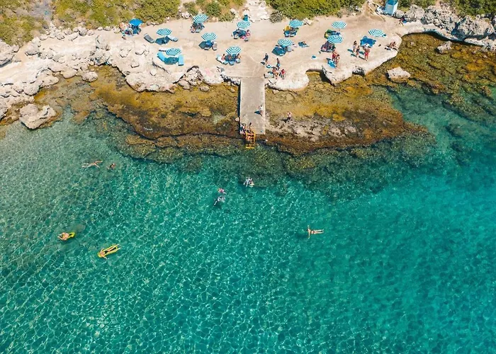 Goji Vegan 3* Jalisos